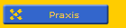Praxis